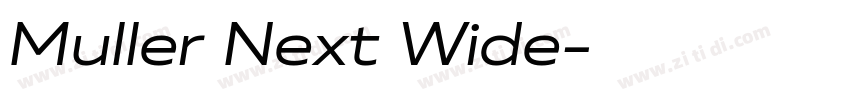 Muller Next Wide字体转换